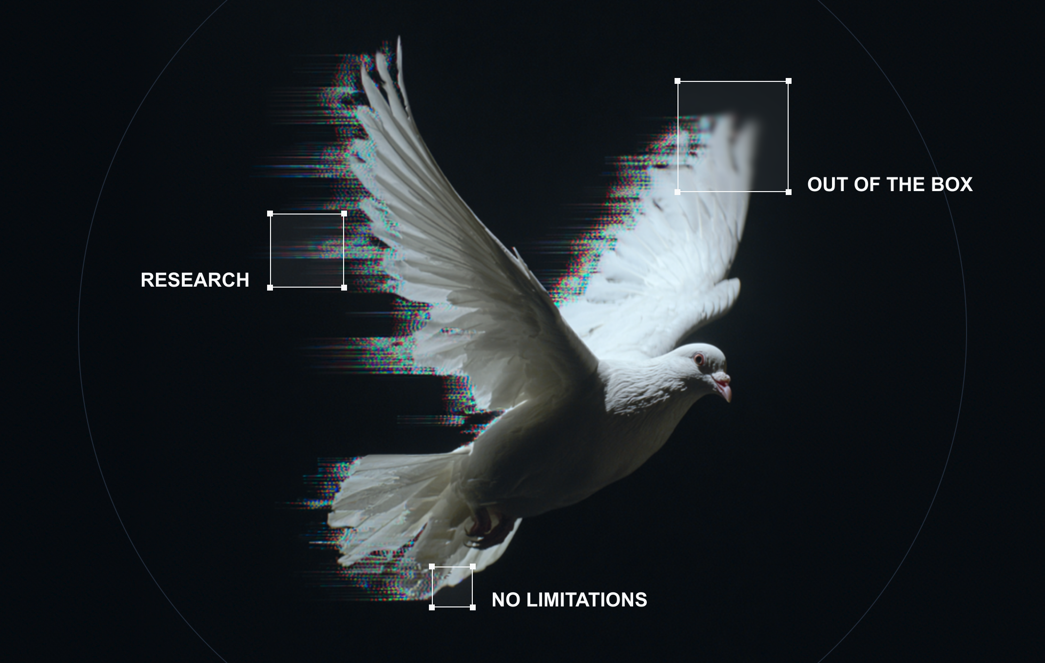 White dove in flight labelled with RESEARCH, OUT OF THE BOX, NO LIMITATIONS